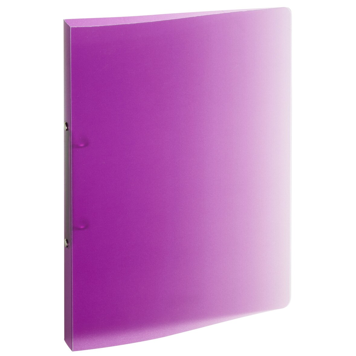 Brunnen Ringbuch FACT!, Polypropylen, DIN A4, schmal, lila