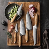 thumbnail of Hezhen - Damascus messenset 5-delig - X01 Flagship series