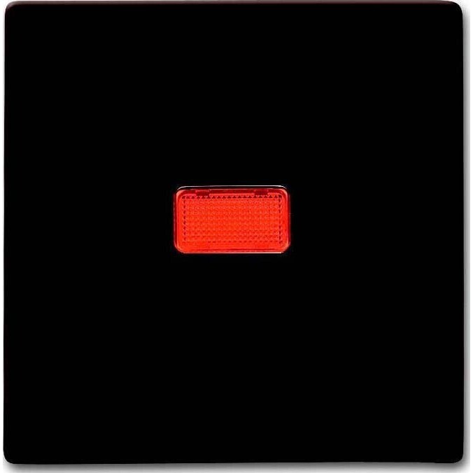 Busch-Jaeger Wippe braun 2107-31 2CKA001731A1964