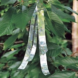 thumbnail of Fita EscareCard Visual Repull 0,04x30m
