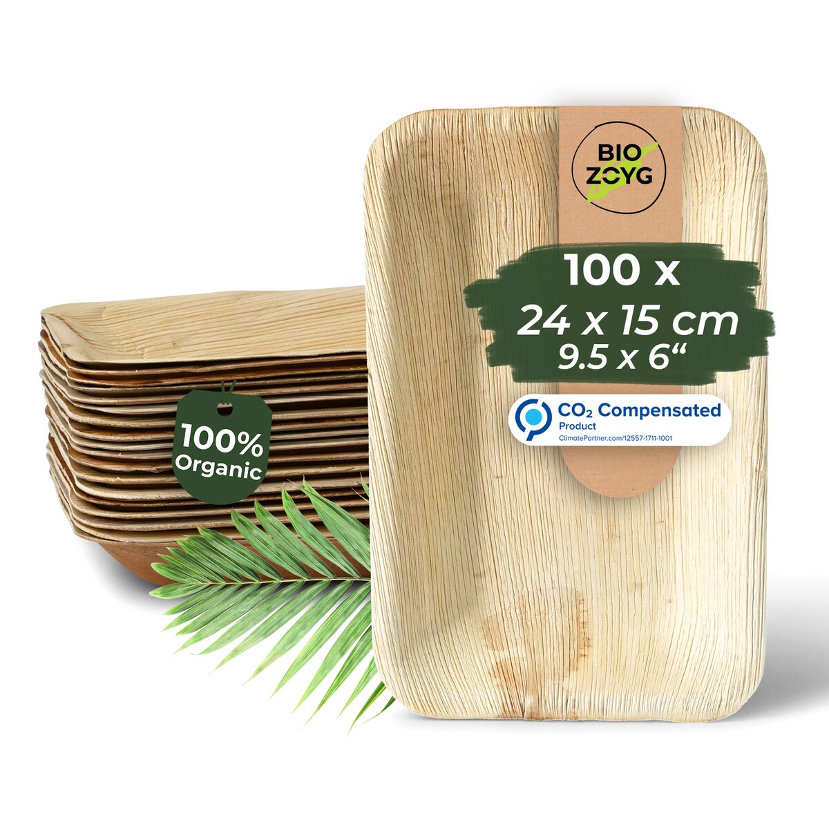 BIOZOYG 100 Stück Einweggeschirr 24x15cm, tief, Palmblatt-Teller rechteckig umweltfreundliche Einwegteller aus Palmenblättern, biologisch abbaubar