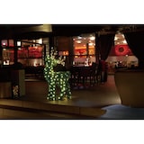 thumbnail of Tarrington House LED Rentier OST180SG2, Buchsbaum / Metall / Kunststoff / Kupfer, 61 x 25.5 x 120 cm, 180 LEDs, 3.6 W, warmweiß