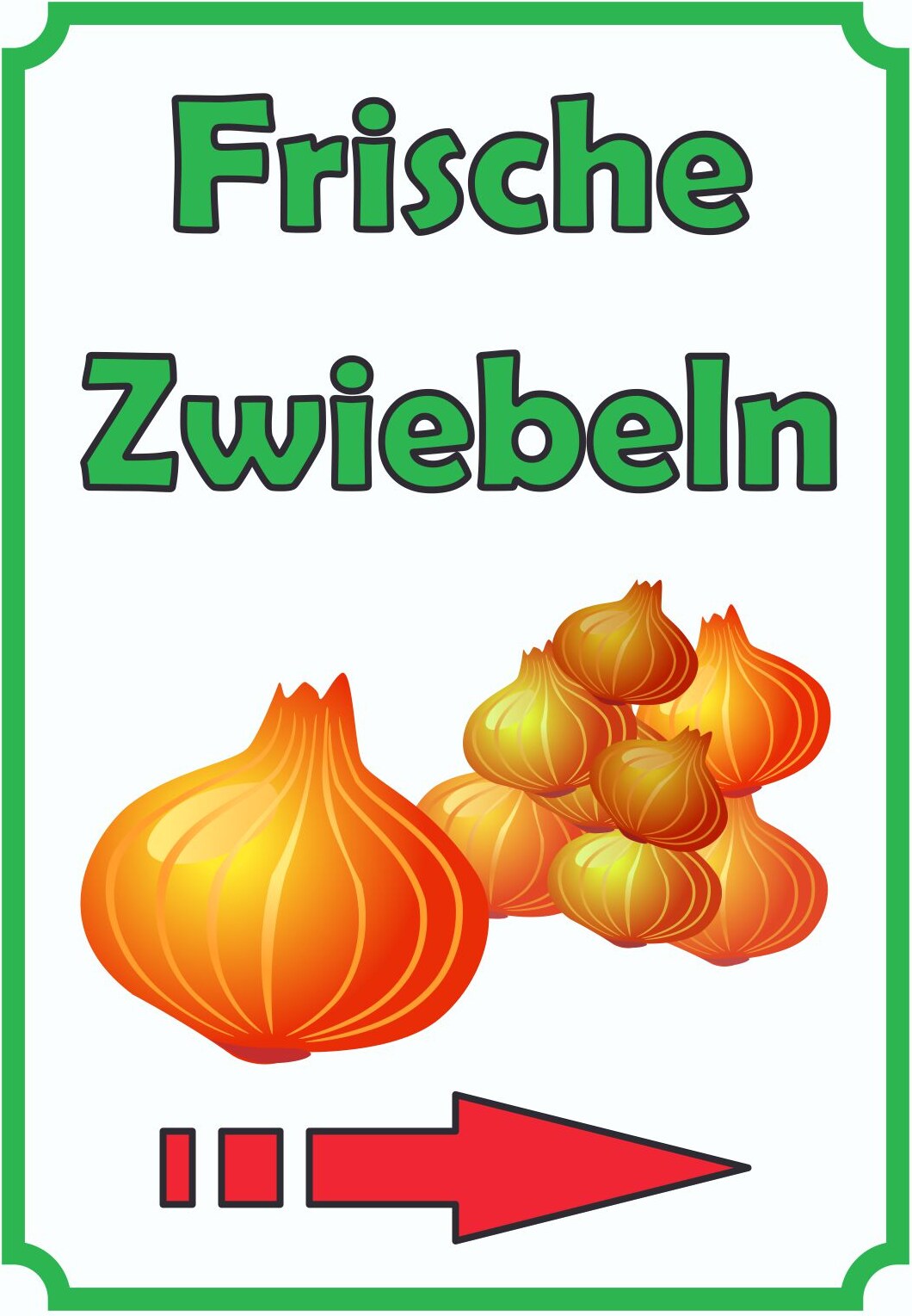 Verkaufsschild Schild Zwiebeln Hochkant mit Pfeil rechts A0 (841x1189mm)