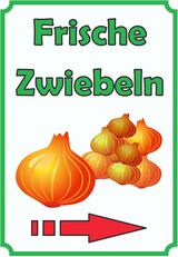thumbnail of Verkaufsschild Schild Zwiebeln Hochkant mit Pfeil rechts A0 (841x1189mm)