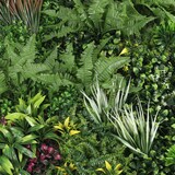 thumbnail of Mur végétal artificiel jardin botanique premium 100x100 cm