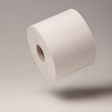 thumbnail of Green Hygiene - Toilettenpapier aus recyceltem Papier, 2-lagig, 500 Blatt, 36 St.