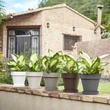 thumbnail of Plastiken TES - Plato Redondo Ø14 cm para Macetas de 18 cm. Taupé