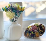 thumbnail of LAYBA Trockenblumenstrauß Bunt