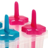 thumbnail of San Ignacio LEKNES - Eis am Stiel Formen 12 x 18cm