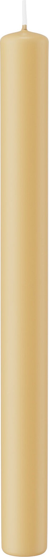 Stabkerzen Champagner 250 x Ø 22 mm, 10 Stück
