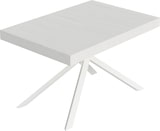 thumbnail of Niket ausziehbarer Tisch 120/204x80 cm, Esche weiß mit weißen Beinen