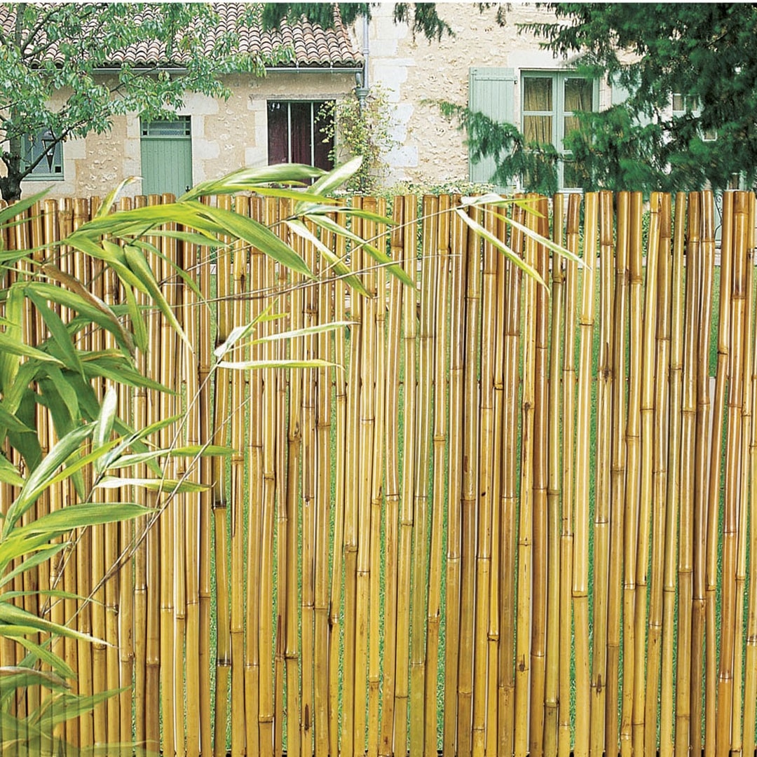Cañizo BAMBU barnizado  BAMBOOFLEX 1x3m NATURAL