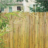 thumbnail of Cañizo BAMBU barnizado  BAMBOOFLEX 1x3m NATURAL