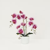 thumbnail of LIGNE DÉCO Orchidée artificielle blanc-fuchsia 50cm