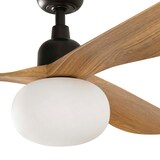 thumbnail of Outdoor DC Deckenventilator Outwood BR-EI mit Licht 150