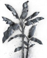 thumbnail of Kayoom Aluminium Wandbild Palme II 80cm x 100cm , ca. 3,8cm (L/T) x 80cm (B) x 100cm (H)