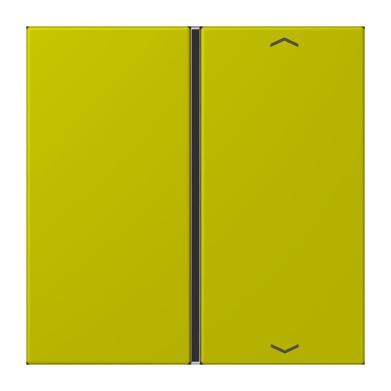 Jung Taste 1fach m. Pfeilsymb. LC 401 TSAP 249 LC401TSAP249