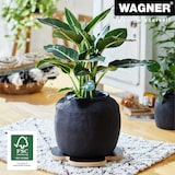 thumbnail of WAGNER Pflanzenroller BLACK Ø 33 x 4 cm, für innen, MDF mit Melamin, schwarz, Tragkraft 100 kg, DE Ware - 20027601