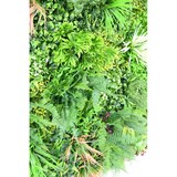 thumbnail of VERT ESPACE plante artificielle mur plaque H 100*100 cm