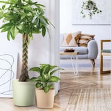 thumbnail of EURO3PLAST Blumentopf Fyre Ø 20 cm oasi