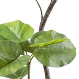 thumbnail of CREATIV green künstliche Pflanze Ficus umbellata 160cm