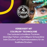thumbnail of Kopierpapier, REY Copy, A4, 80 g/qm, weiß, FSC®-zertifiziert
