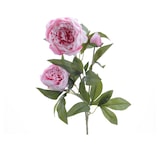 thumbnail of Pfingstrose mit 2 Blüten und Knospe am Stiel Kunstblume Päonie H: 75cm rosa