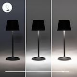 thumbnail of Forlight TRETA CLASSIC Lámpara de mesa LED. Inalámbrica, portátil y recargable. IP54 Interior y exterior.Carga USB. Regulable.Color Negro