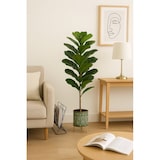 thumbnail of NATURN LIVING Planta de Caucho Plástico - ø 14 x 98 cm - Ficus Elastica - Árbol de caucho artificial - Planta sin mantenimiento - Verde