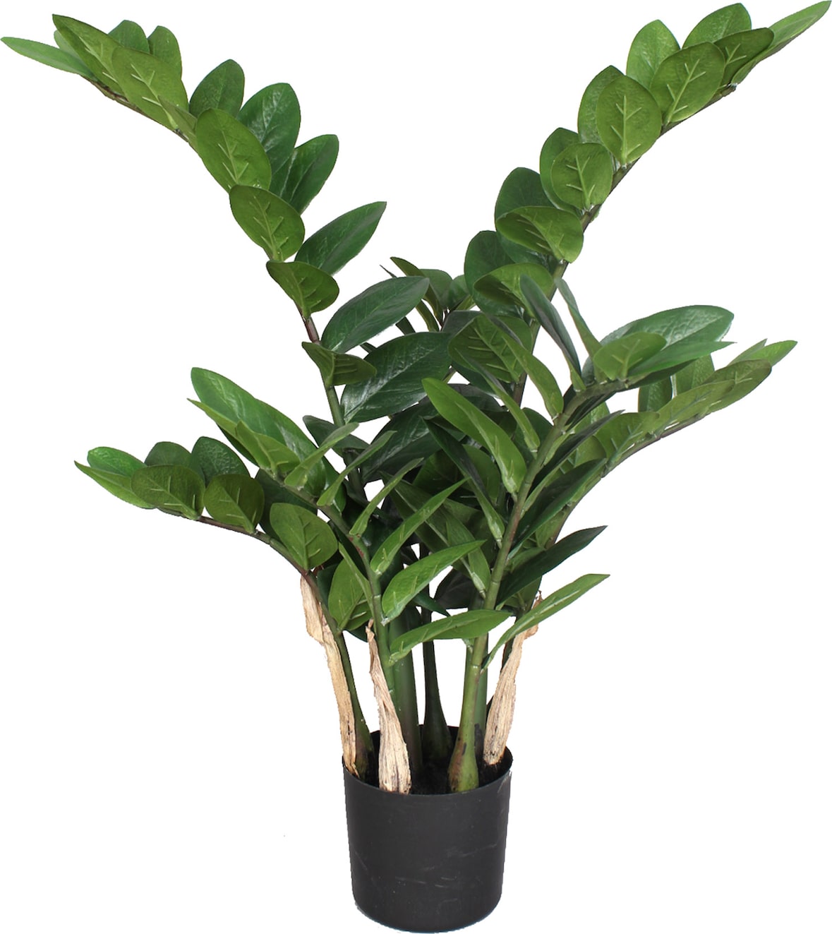 CREATIV green Künstliche Pflanze Zamifolia 70cm im Topf