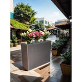 thumbnail of METRO PROFESSIONAL Blumentopf/Raumtrenner mit 3 Pflanzeinsätze Barbados, Polyrattan, schwarz