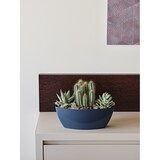 thumbnail of Jardinera rectangular de plástico brillante Teraplast Sunrise cm 36 - Azul vaquero