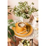 thumbnail of Seltmann Weiden Liberty Pure Colors Kombiuntertasse ø 16 cm 6er Set - Mango Orange