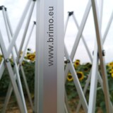 thumbnail of Promozelt 4x4m - mit 3 Wänden - Weiß