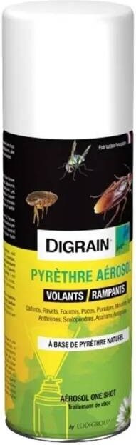 Aérosol insecticide - 200ml - LODI | METRO