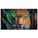 thumbnail of Monitor Digital Signage de 37 a 49 pulgadas NEWLINE MONITOR SIGNAGE 43 A14 WIFI