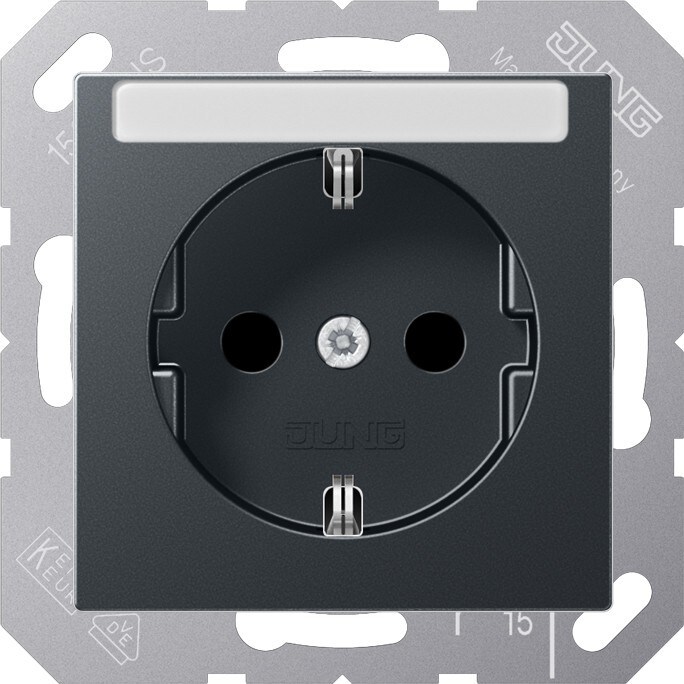 Jung SCHUKO Steckdose A 1520 BFNA ANM A1520BFNAANM