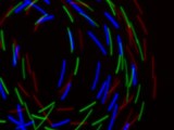 thumbnail of LED-Handschuhe, schwarz/weiß