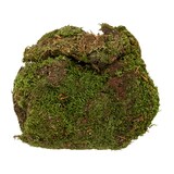 thumbnail of Moos Natur zum Basteln und Dekorieren 80g grün