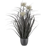 thumbnail of CREATIV green künstliche Pflanze Grasbusch, 63cm, schwarz, 2er Set