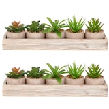 thumbnail of CREATIV green künstliche Pflanze Sukkulenten-Set im Holzkasten 5 Pflanzen 8-10cm im 6x5cm Topf, grün, im 2er Set