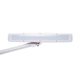 thumbnail of LED-Arbeitsplatzleuchte MAULwork, dimmbar