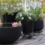 thumbnail of Relaxdays Pflanzenroller, ausziehbarer Blumenroller, Ø 40 - 57,5 cm, Kunststoff, max. 200 kg, innen & außen, dunkelgrau