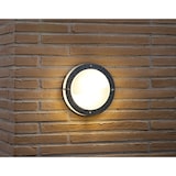 thumbnail of Applique murale MALTE  Acier galvanisé Acier galvanisé, H.24 - IP54 - E27 / Extérieur