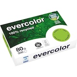 thumbnail of Kopierpapier Evercolor lindgrün, A4, 80 g/qm, aus 100 % Altpapier, ausgezeichnet mit dem Blauen Engel
