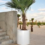 thumbnail of WellHome - Blumentopf Modell "Agila Collection" Ø39x40cm Bronzefarbe