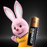 thumbnail of DURACELL piles alcalines AA Plus, 1.5 V LR6 MN1500, paquet de 24