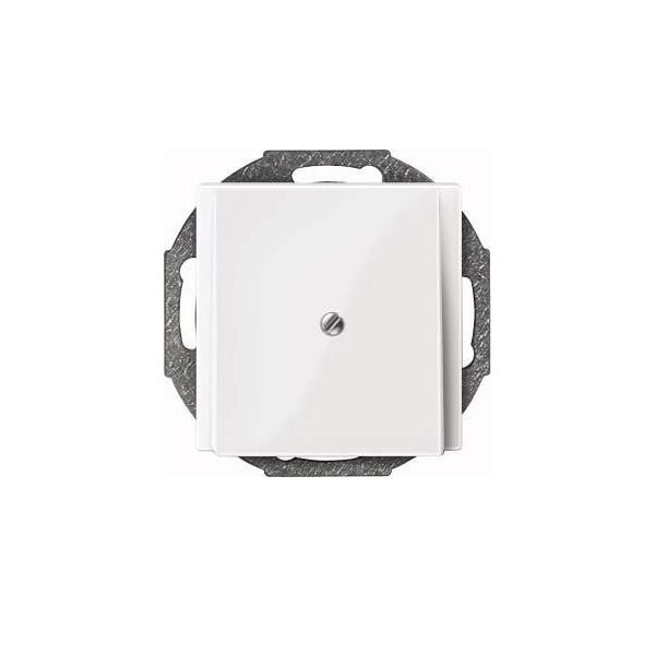 Merten Zentralplatte pws/gl 296319