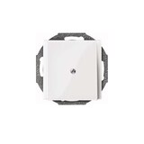 thumbnail of Merten Zentralplatte pws/gl 296319