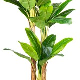 thumbnail of CREATIV green Künstliche Palme Bananenpflanze 240cm im Topf